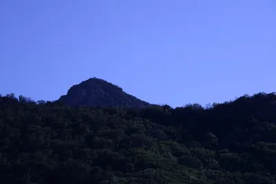 DSC_2082 (Large).JPG